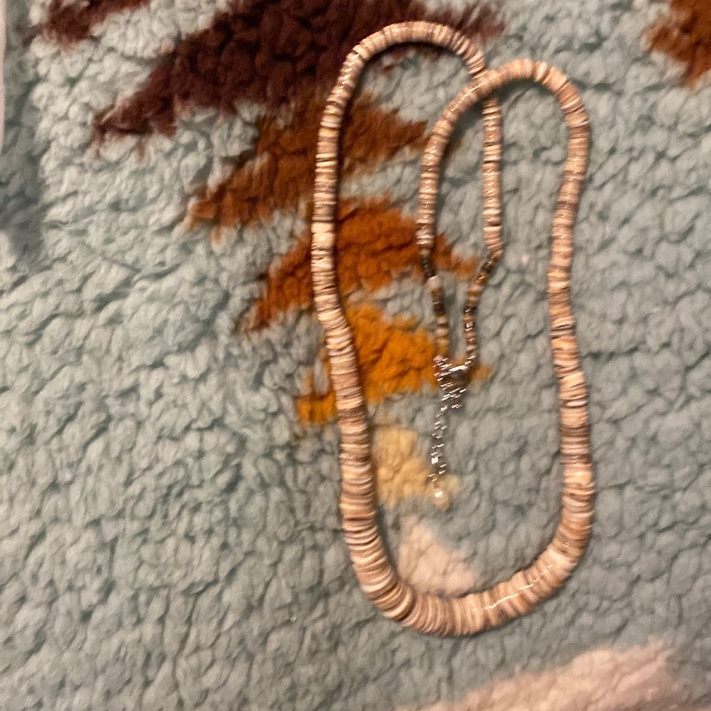 Stunning Voluta shell Heishi necklace